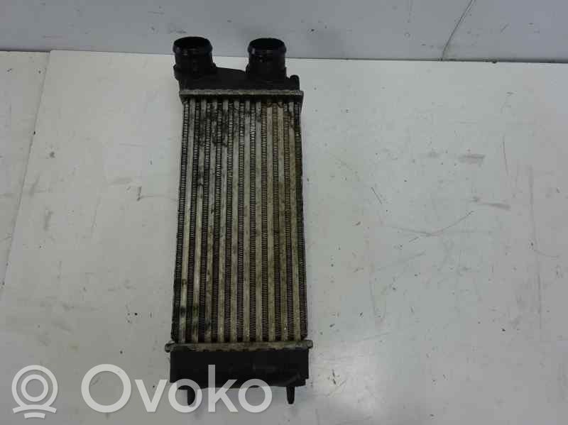 Peugeot 307 Radiatore intercooler 