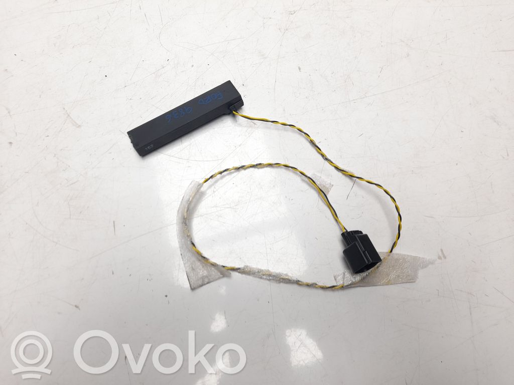 Ford Ecosport Radion antenni 