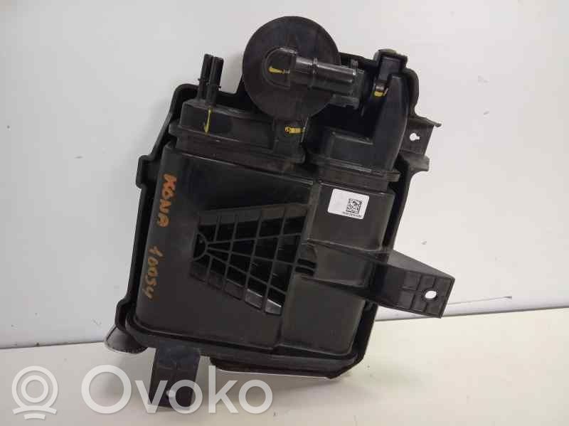Hyundai Kona I Active carbon filter fuel vapour canister 
