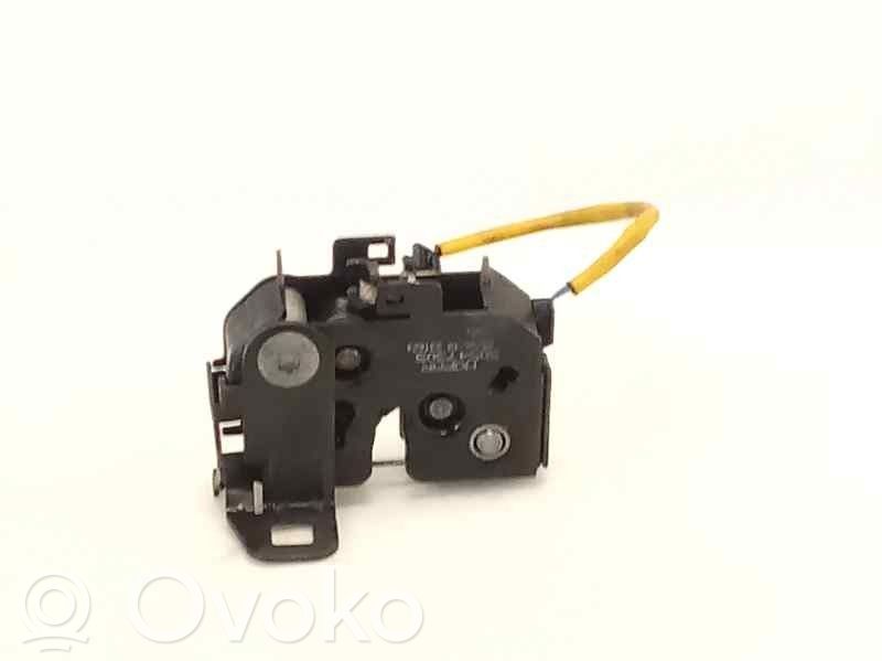Tie down hook / loop   50547305