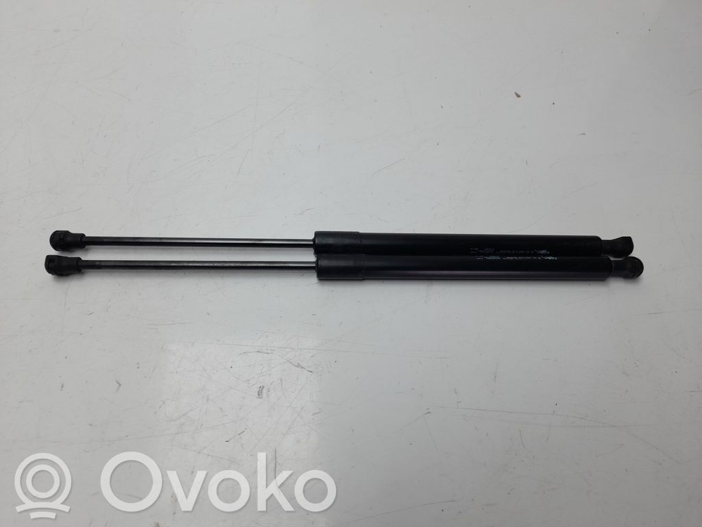 Tailgate/trunk strut/damper   9673083680