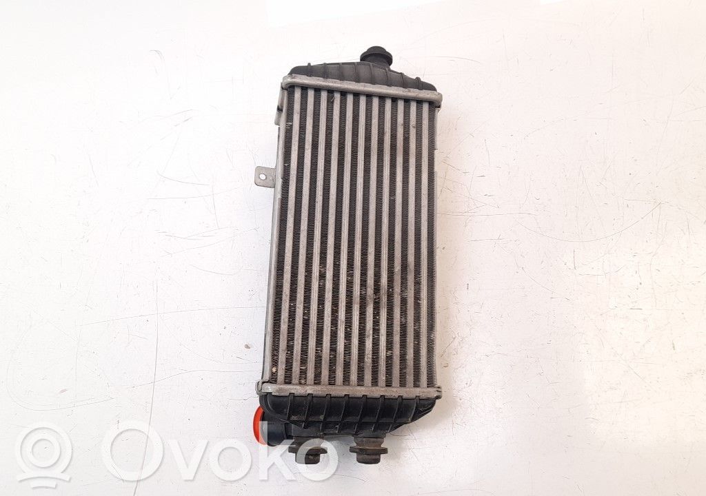 Intercooler radiator   282702A320,82014711,30978