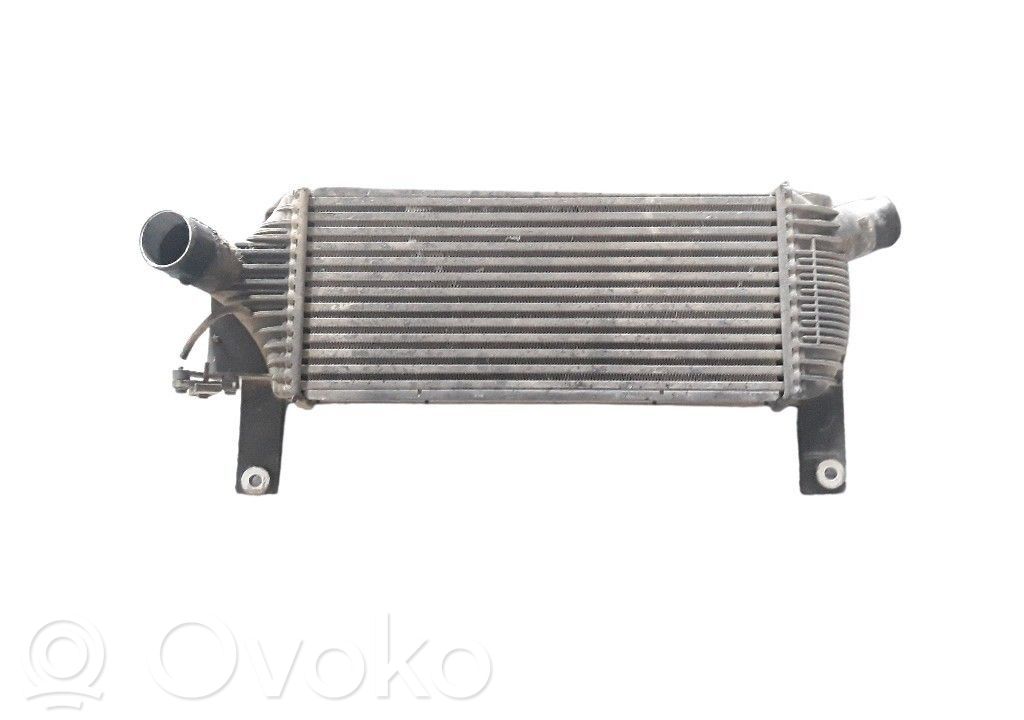 Nissan Pathfinder R51 Chłodnica powietrza doładowującego / Intercooler 