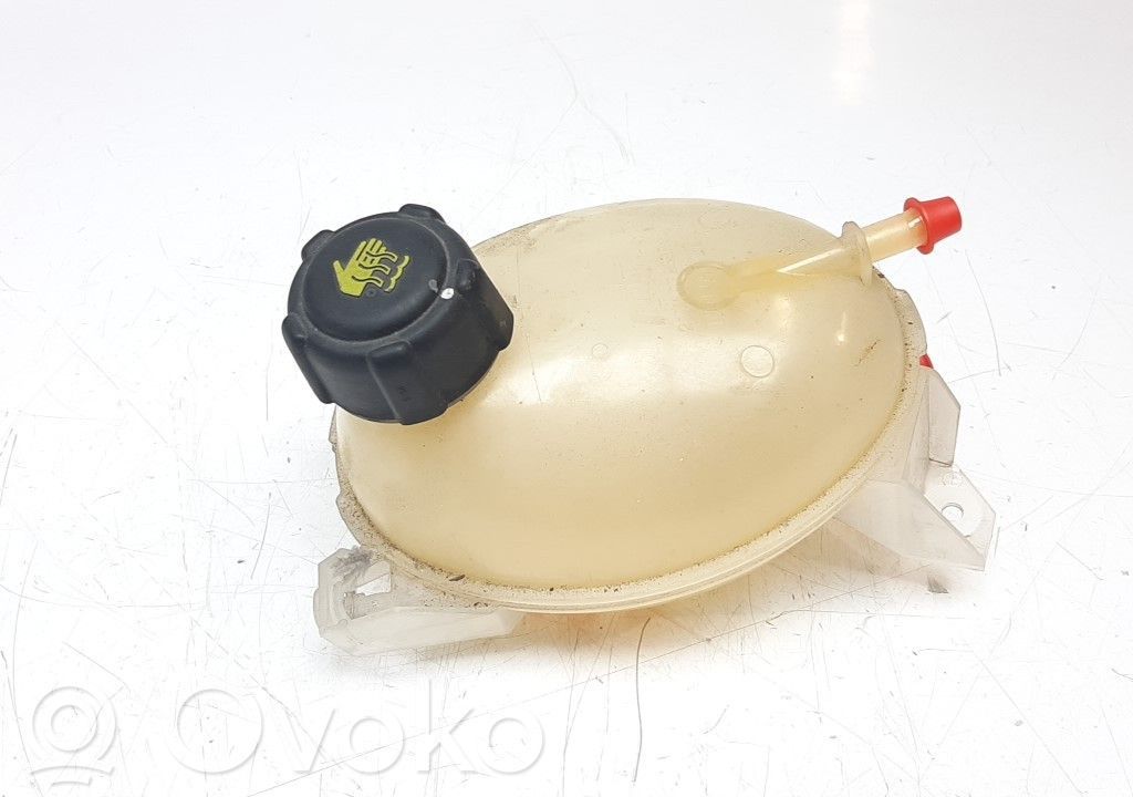 Renault Clio IV Vaso di espansione carburante