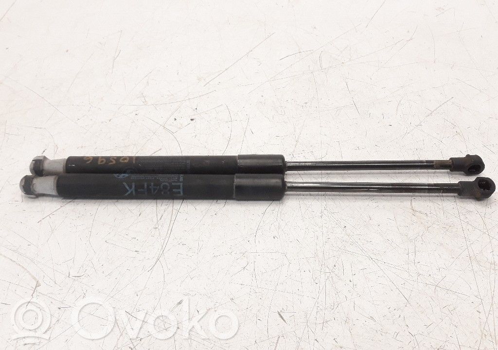BMW X1 E84 Ammortizzatore portellone anteriore/cofano
