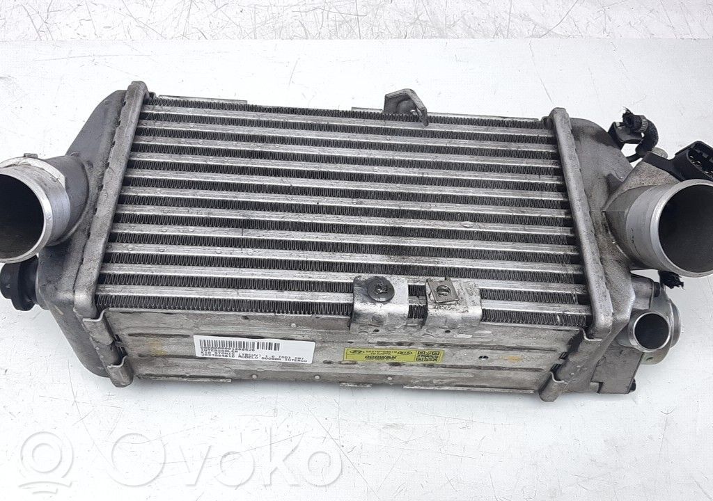 Interkūlerio radiatorius   2827004610