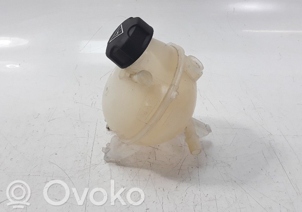 Kuro išsiplėtimo bakelis   9800777280