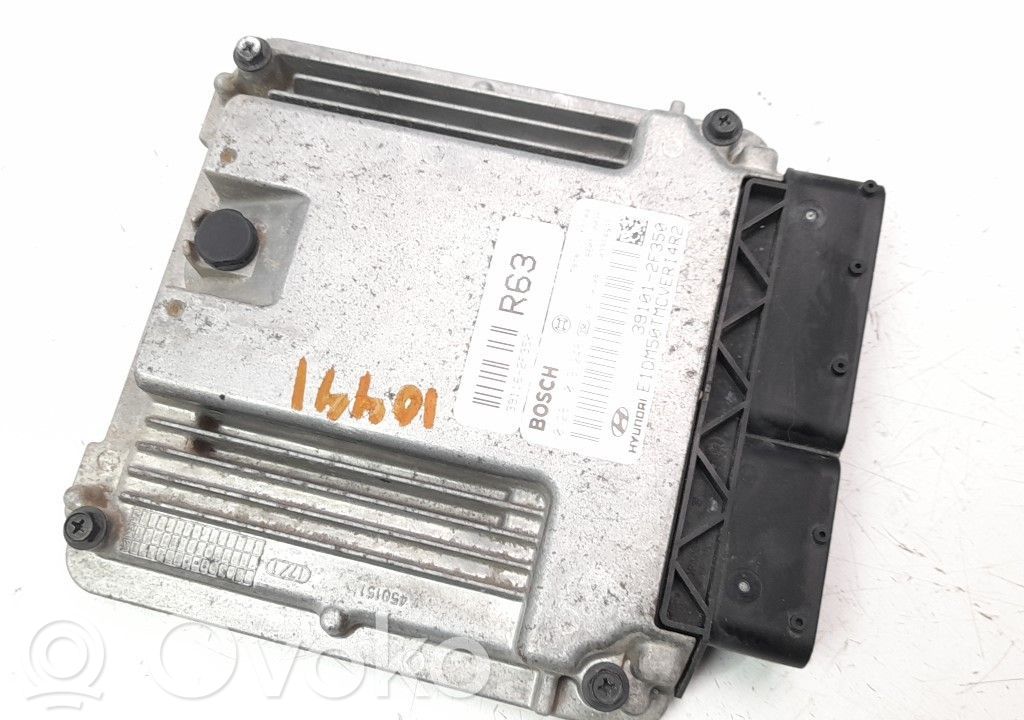 Engine control unit/module   391012F350
