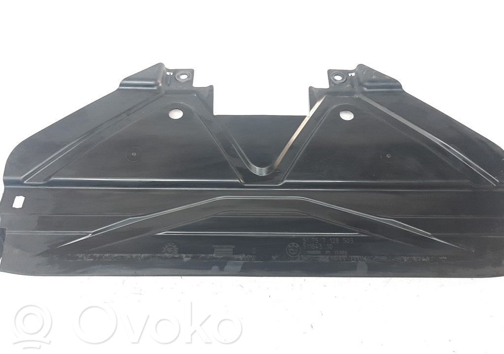 Placa protectora/protector antisalpicaduras motor   51757128503