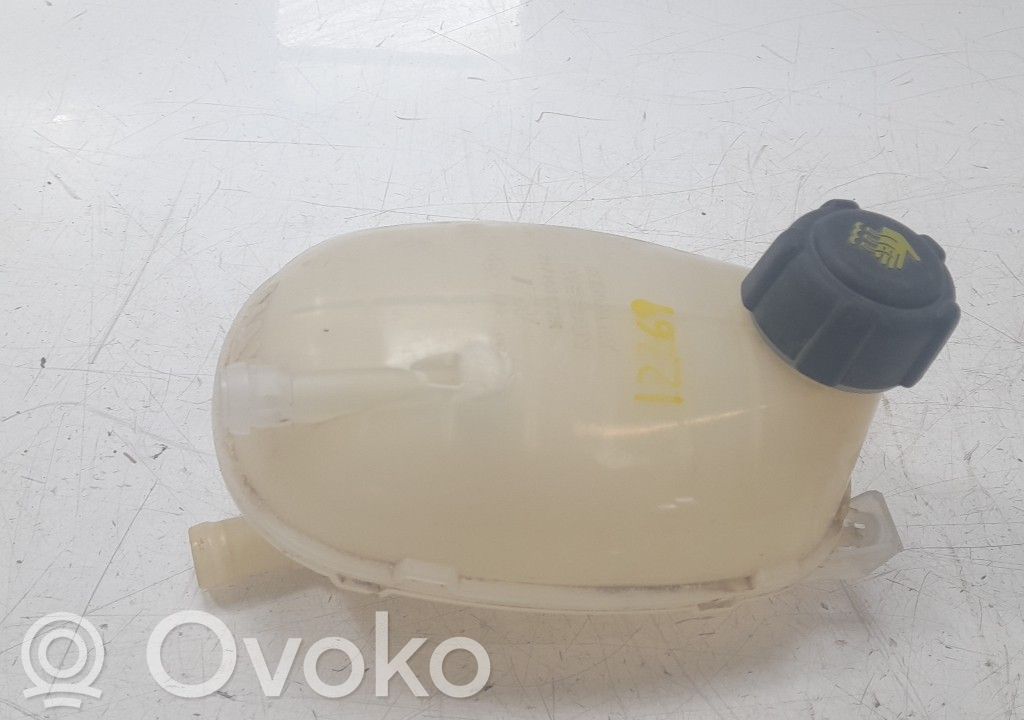 Renault Clio IV Vas expansiune combustibil 