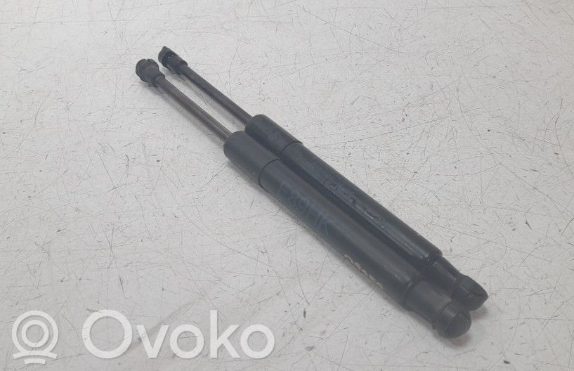 Tailgate/trunk strut/damper   7191255