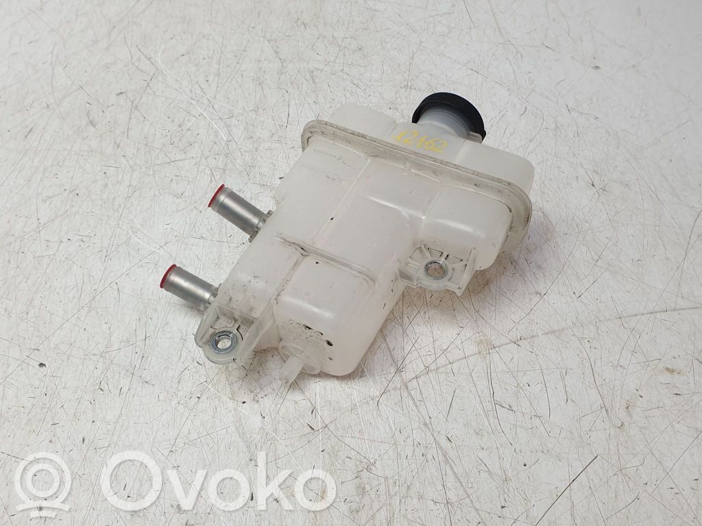 Toyota RAV 4 (XA50) Vas expansiune combustibil 