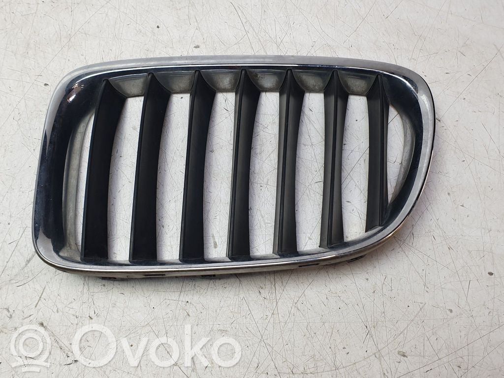 Front grill   51112993307