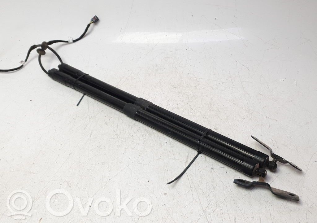 Ford C-MAX II Tailgate/trunk strut/damper 