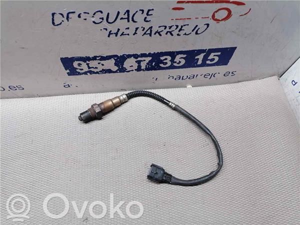 Lambda probe sensor   258010110,H8200437489
