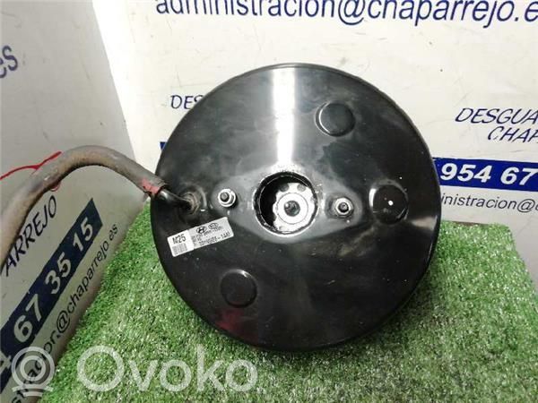 Servo-frein   585002S251,585002S251