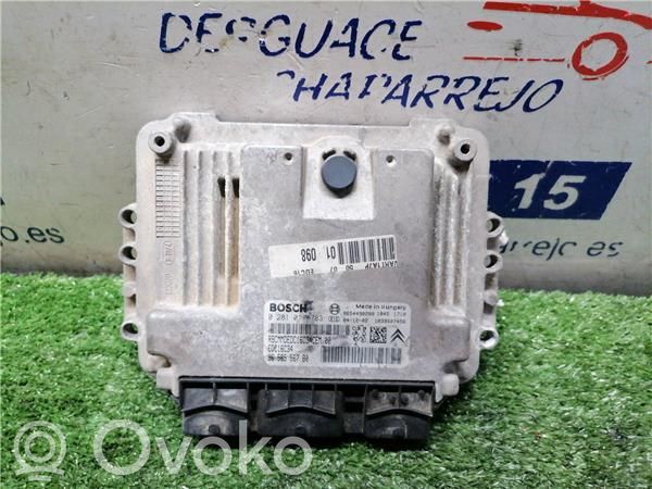 Peugeot 206 Engine control unit/module ECU 