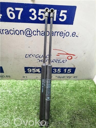 Amortiguador del maletero/compartimento de carga