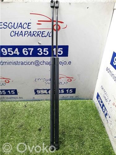 Ford Fiesta Atrama galinio dangčio 