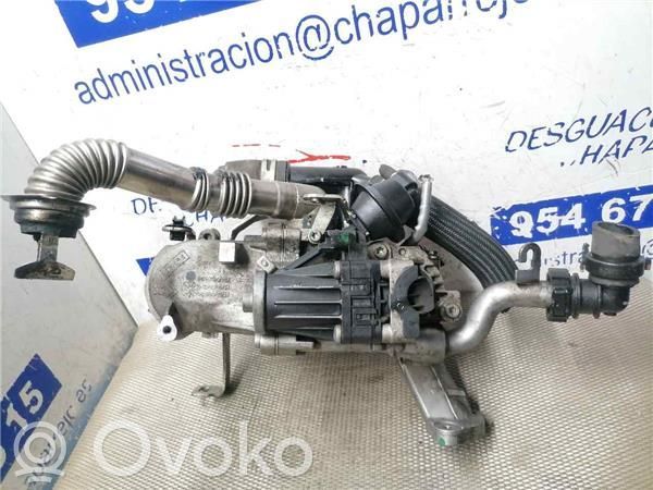 EGR vožtuvas   5056390800