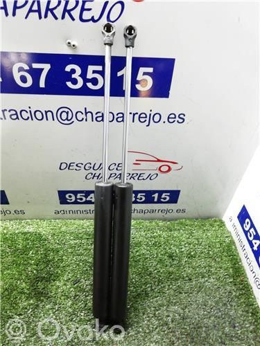 Amortiguador del maletero/compartimento de carga