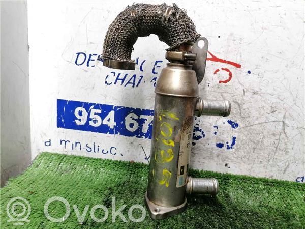 Citroen C6 Răcitor supapă EGR 