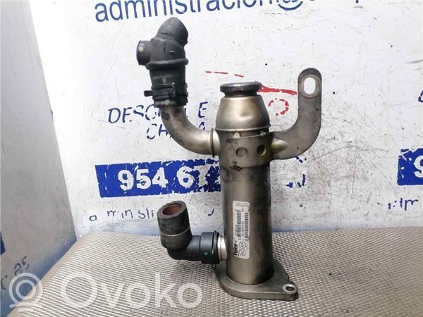 Volvo S40, V40 Răcitor supapă EGR 