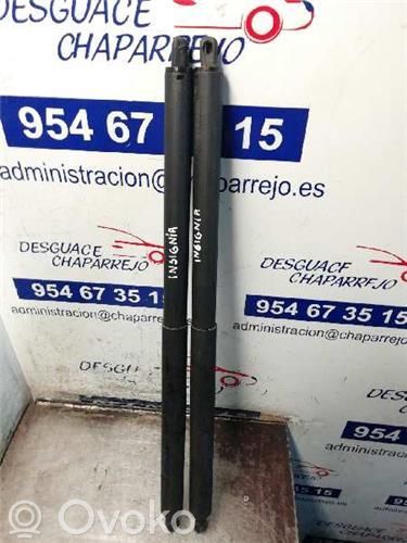 Opel Insignia A Amortiguador del maletero/compartimento de carga 
