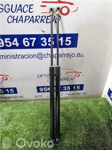 Amortiguador del maletero/compartimento de carga