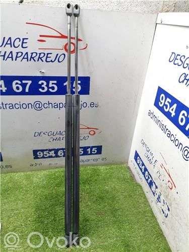 Amortiguador del maletero/compartimento de carga