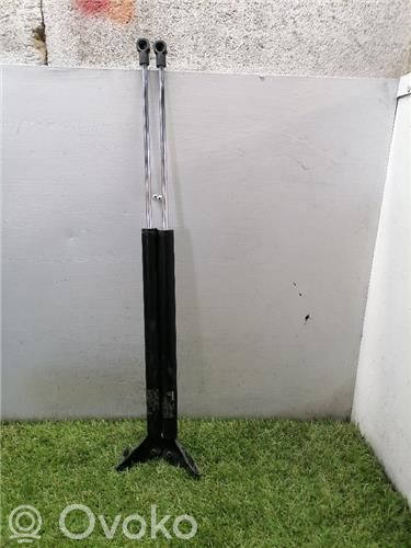 Tailgate/trunk/boot lid buffer