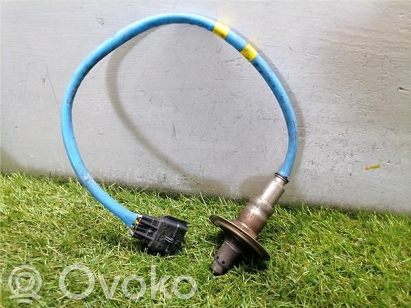 Lambda probe sensor   226937054R,HMLGT6944R