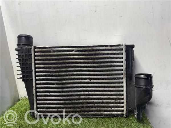 Peugeot Expert Radiator intercooler
