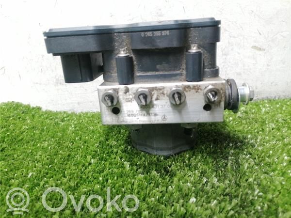 Mercedes-Benz CL C215 Żarówka lampy tylnej 