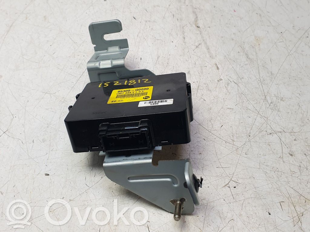 Alte unități/module de control   95300Q0000