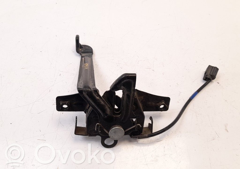 Tie down hook / loop   656013VV1A