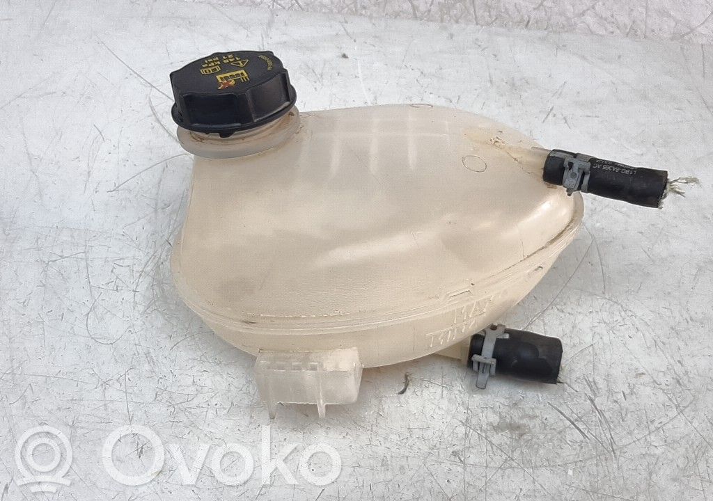 Ford Fiesta Vaso di espansione carburante 