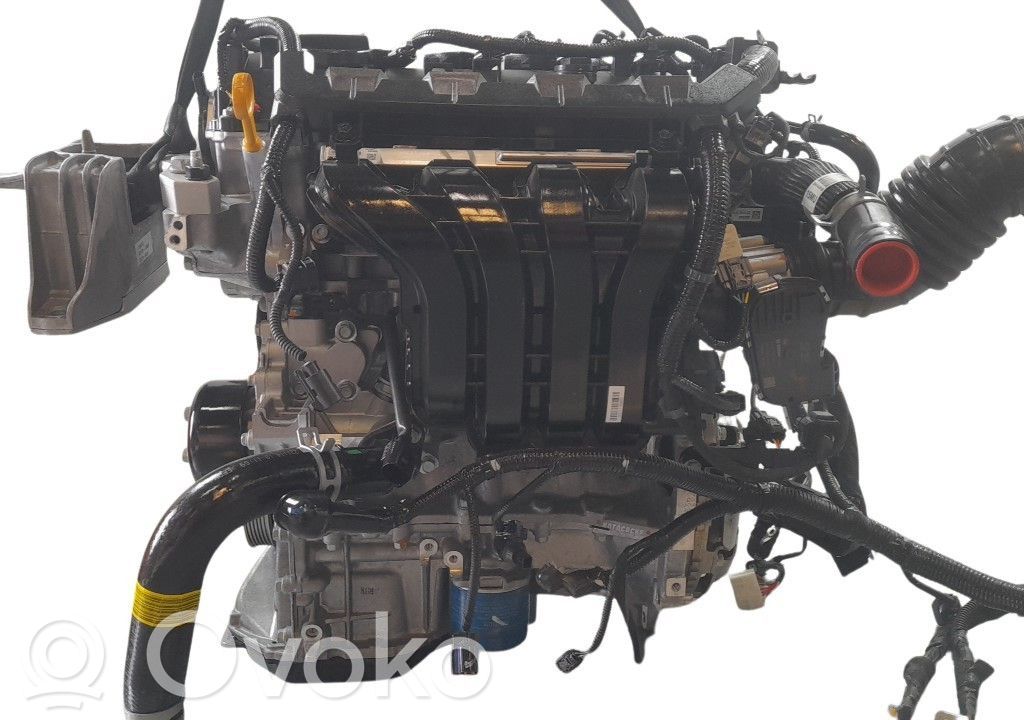 Motor   G4LG