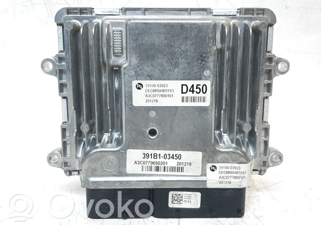 Engine control unit/module   391B103450