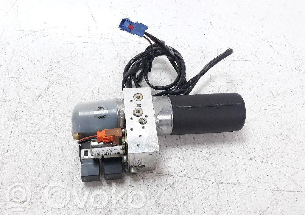 Peugeot 307 Motor/actuator trapă