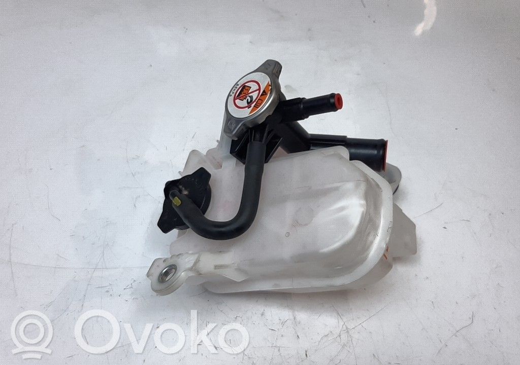 Kuro išsiplėtimo bakelis   164A20T021