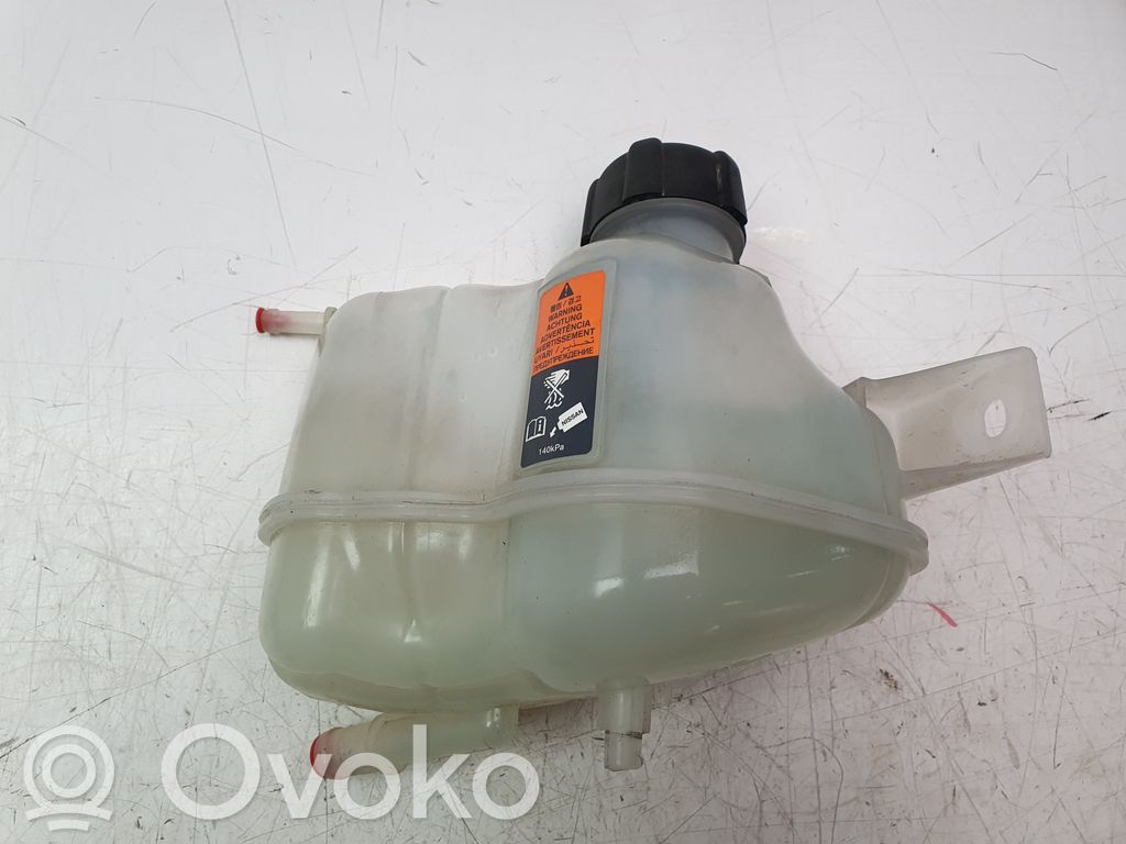 Nissan Qashqai Vaso di espansione carburante