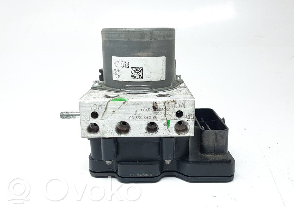 ABS Pump   9808055980