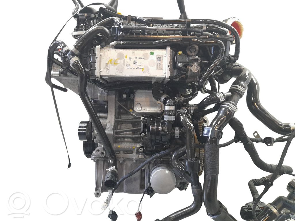 Motor