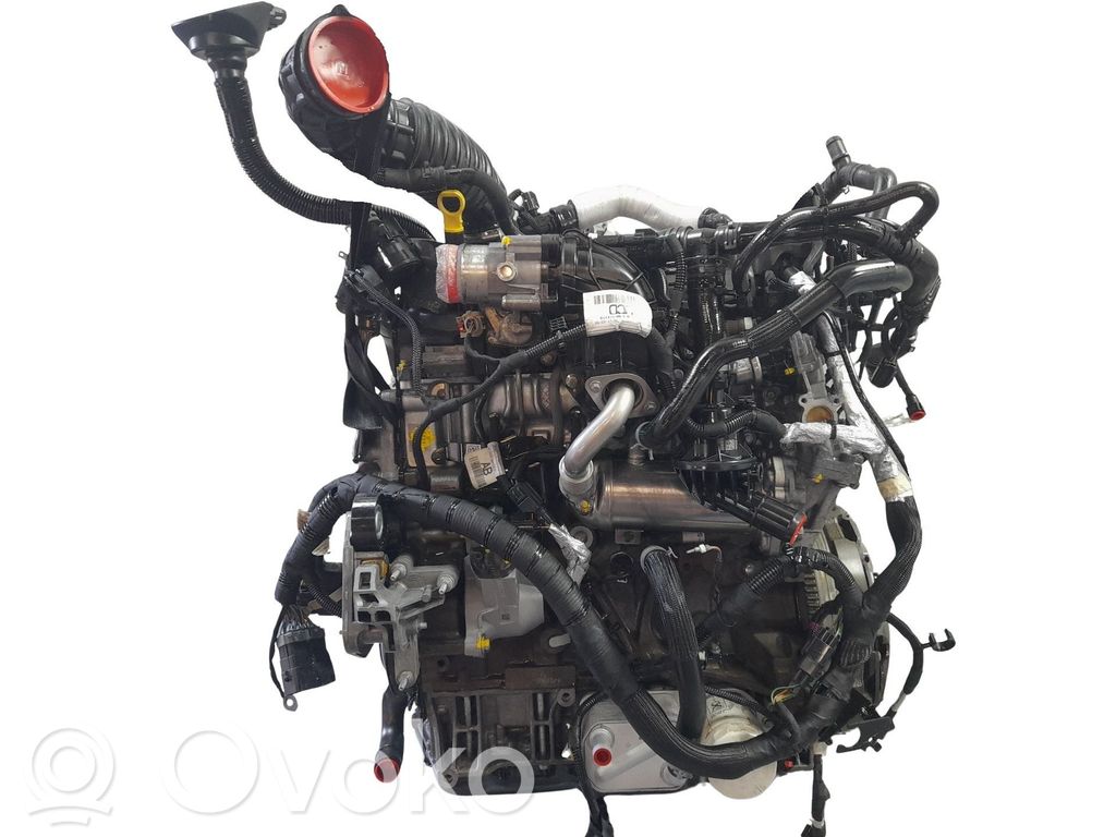 Motor   BCFC