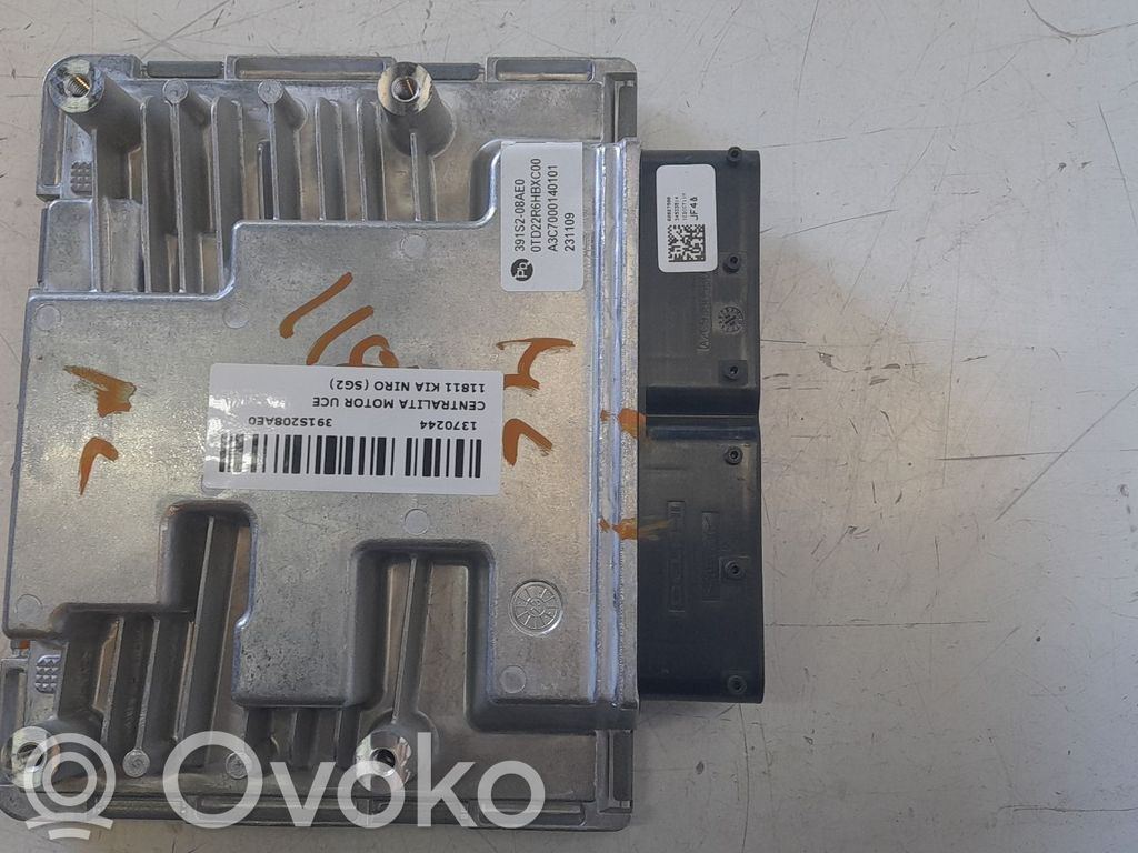 Engine control unit/module   391S208AE0