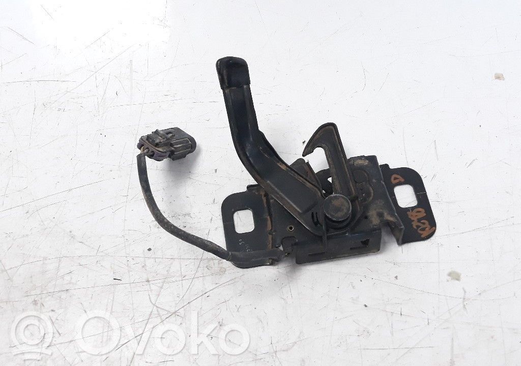 Tie down hook / loop   13367151