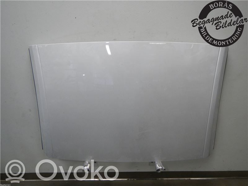 Peugeot 308 Roof 
