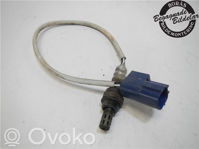 Lambda probe sensor   0ZA554N5,0ZA554N5