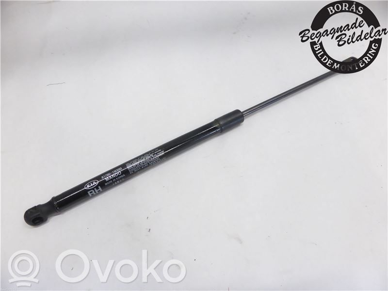Tailgate strut   817801W200,817801W200